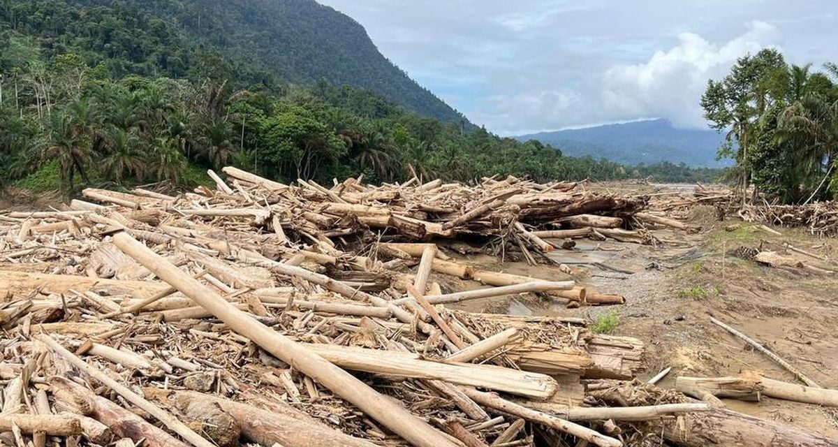 Lautan Kayu Sumatera: Tim Gabungan Berpacu Dengan Waktu