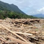 Lautan Kayu Sumatera: Tim Gabungan Berpacu Dengan Waktu