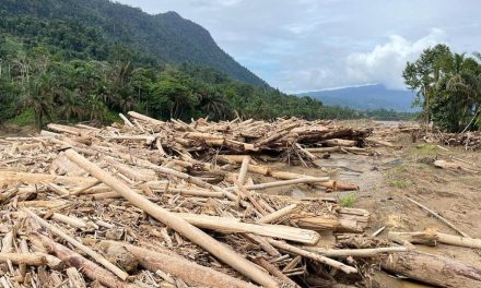 Lautan Kayu Sumatera: Tim Gabungan Berpacu Dengan Waktu