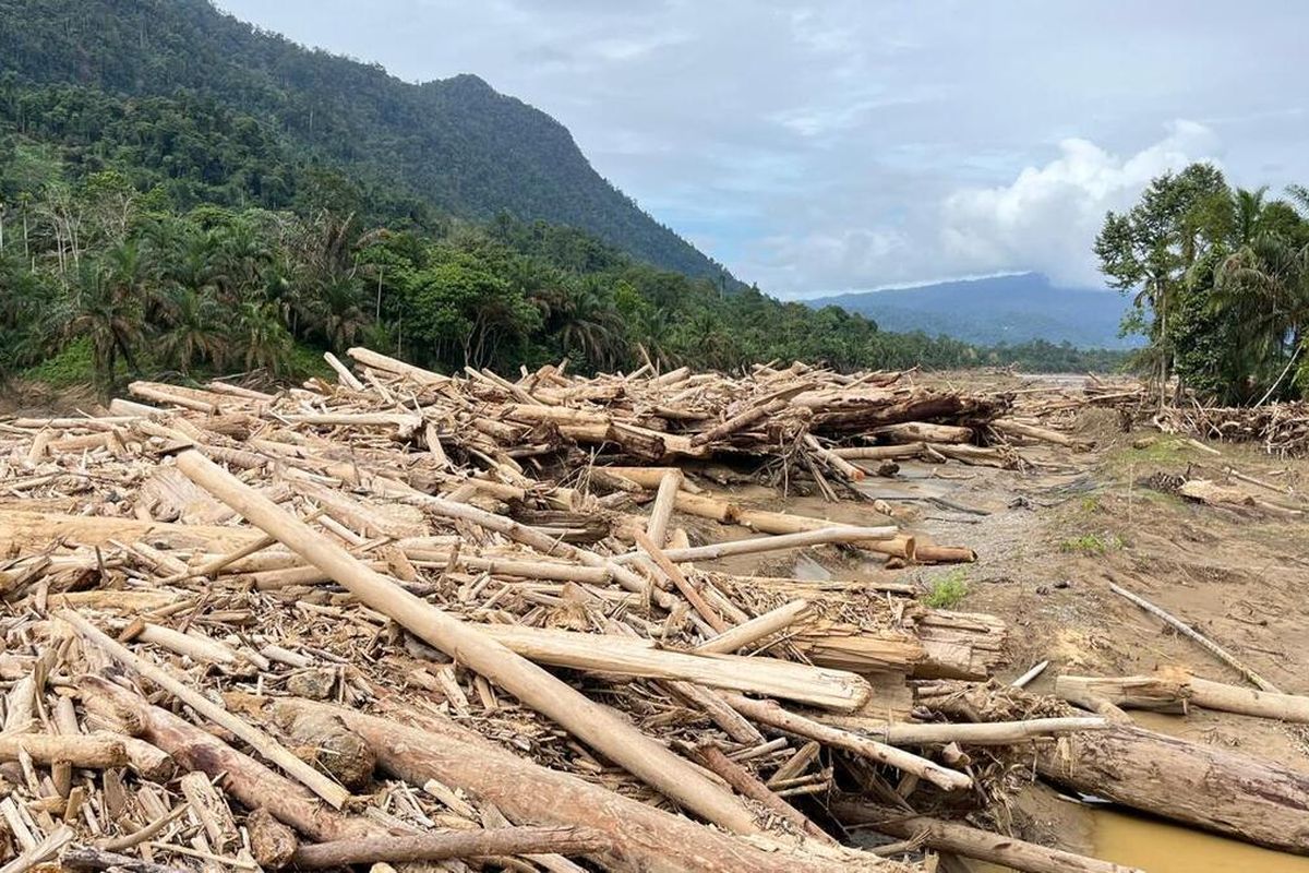 Lautan Kayu Sumatera: Tim Gabungan Berpacu Dengan Waktu