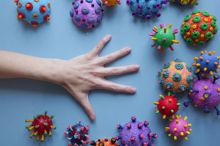 Risiko Virus Nipah terhadap Ancaman Pandemi Global