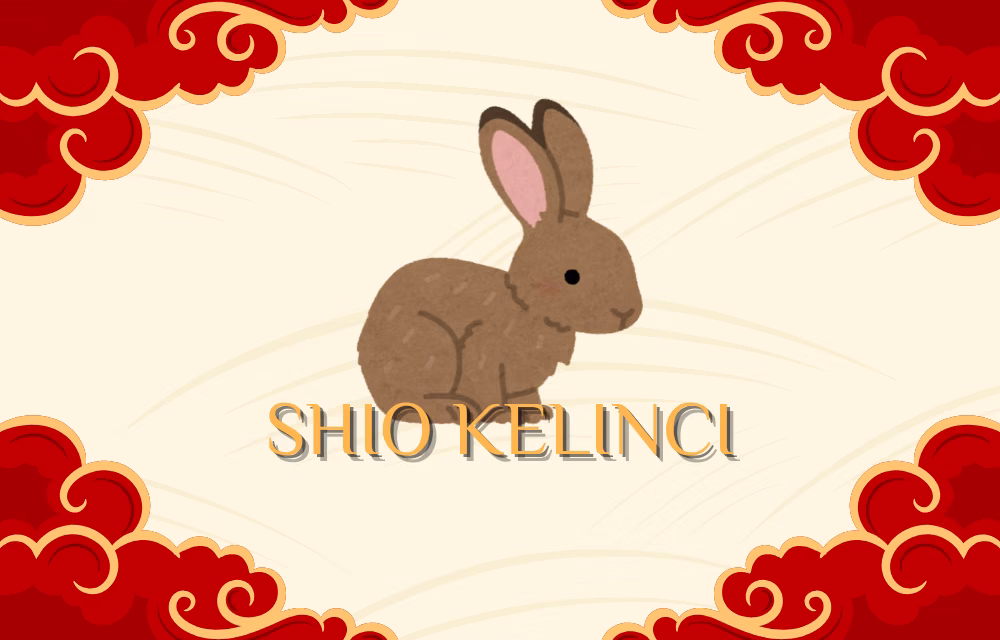 Dinamika Karier, Keuangan, Shio Kelinci pada Januari 2026