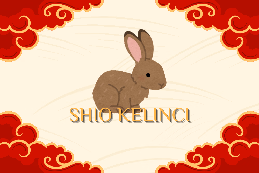 Ramalan Shio Kelinci Januari 2026 tentang karier, keuangan, asmara, dan keseimbangan emosi di awal tahun.