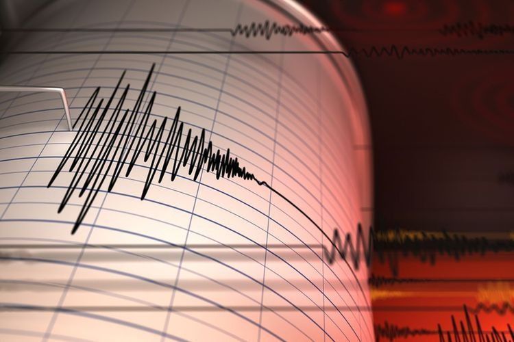 Gempa 6,5 Maluku Barat Daya, BPBD Pastikan Tak Ada Kerusakan