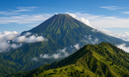 7 Sabana Terindah di Indonesia yang Wajib Masuk Wishlist Liburan