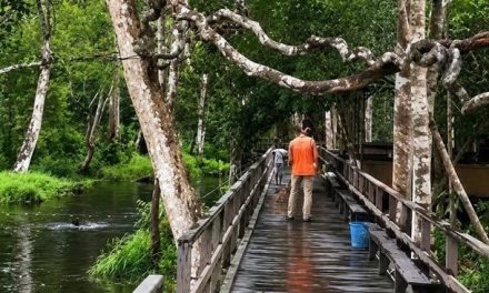 Pemandian Air Merah Tepian Bak, Wisata Unik di Pangkalan Bun