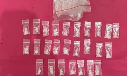 Gerebek Kampung Narkoba Pekanbaru, Polisi Sita 53 Paket Sabu