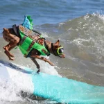 Kejuaraan Surfing Anjing Dunia 2026 Hadirkan Aksi Unik Taklukkan Ombak California